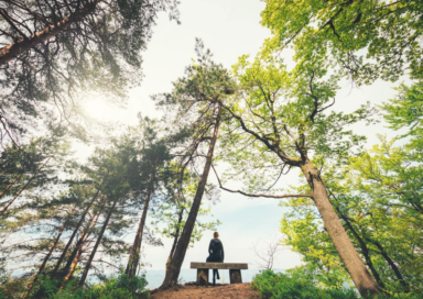 mindfulness addiction treatment georgia